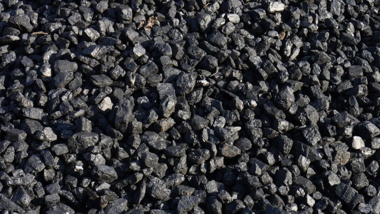 Gdzie kupić ekogroszek w Lubelskiem? Sprawdź najlepsze oferty