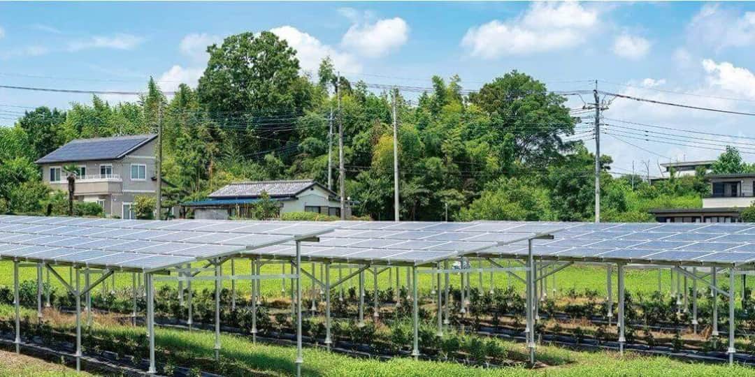 Jakie korzyści oferuje agrofotowoltaika dla rolnictwa i energetyki