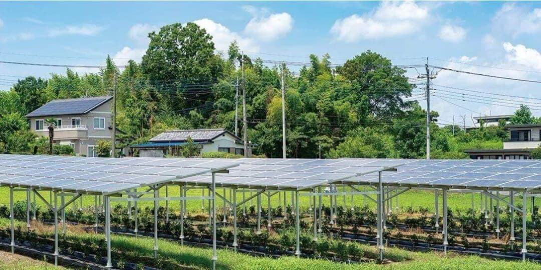 Jakie korzyści oferuje agrofotowoltaika dla rolnictwa i energetyki